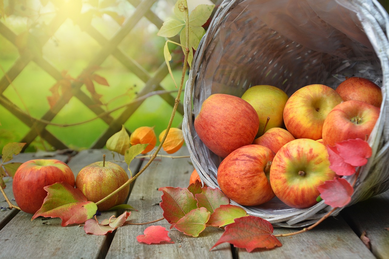 Äpfel, Obst, Obstkorb, Korb, Ernte, Apfelernte, frisch, Vitamine, geerntet, Natur, Lebensmittel, Essen, bio, gesund, Obstkorb, Obstkorb, Obstkorb, Obstkorb